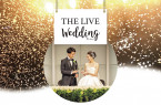 ＼新プラン／THE LIVE Wedding